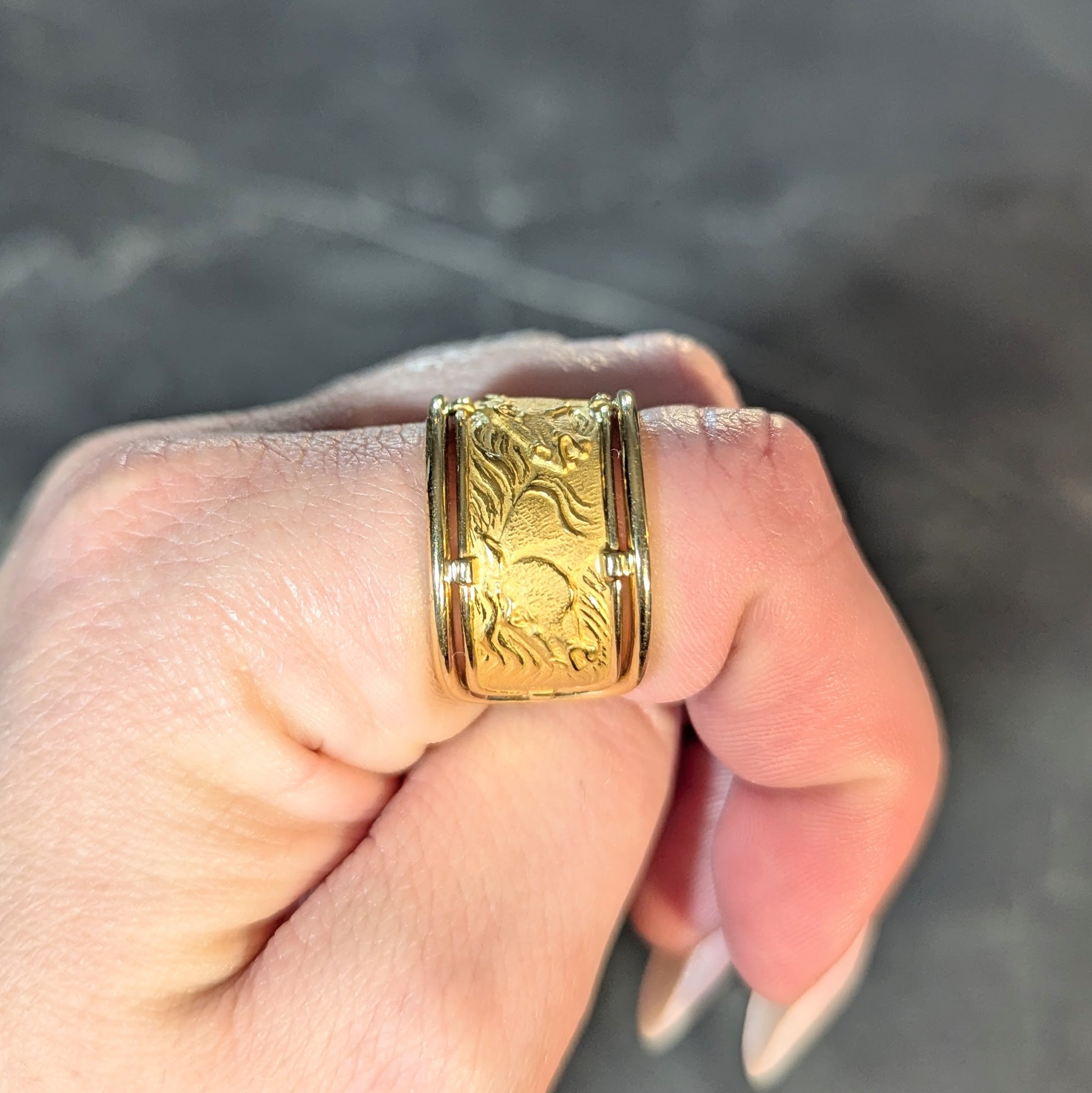 Carrera Y Carrera 1980's 18 Karat Yellow Gold Ecuestre Horse Vintage Band Ring