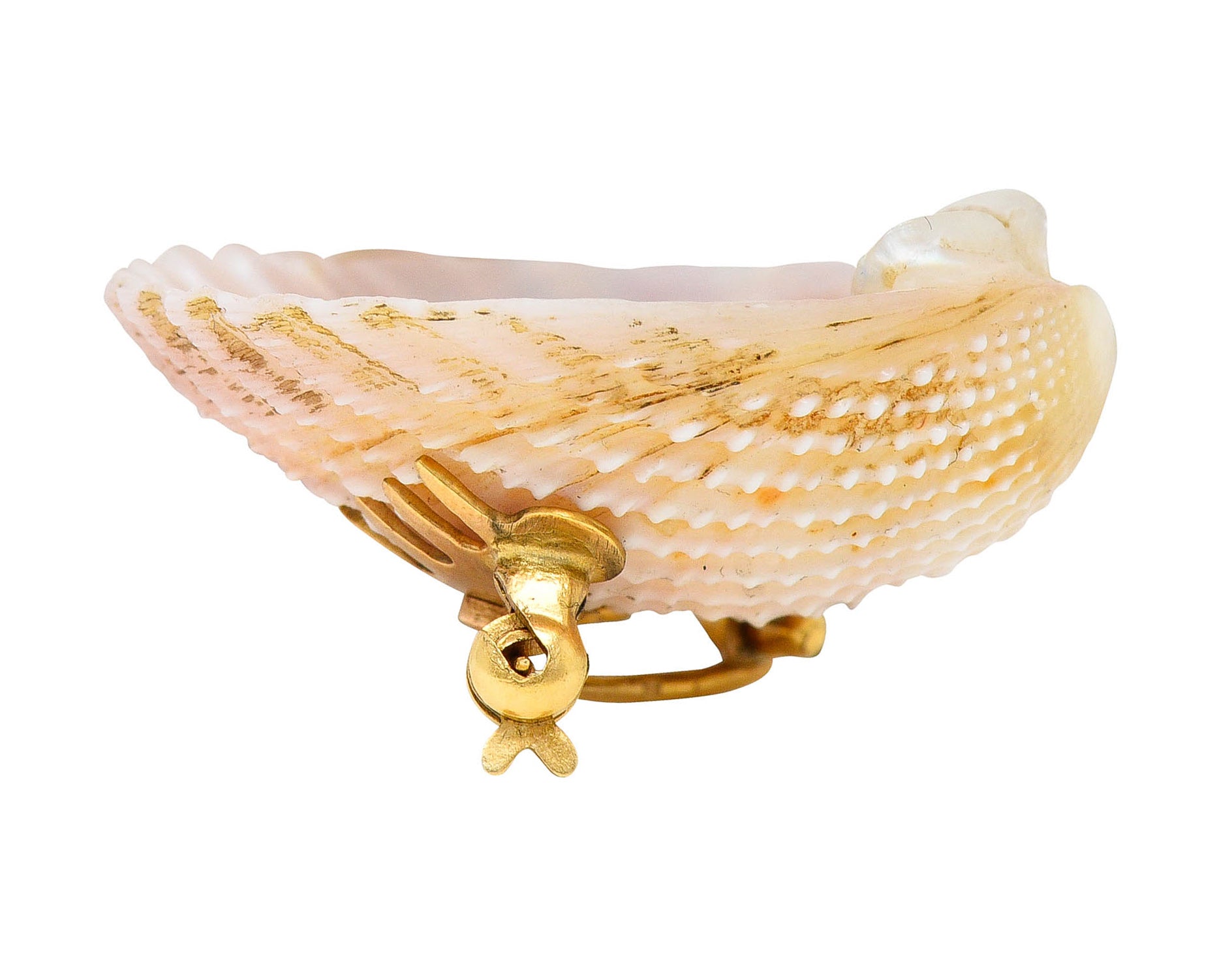 French Victorian Shell Rose Cut Diamond 18 Karat Gold Lizard BroochBrooch - Wilson's Estate Jewelry